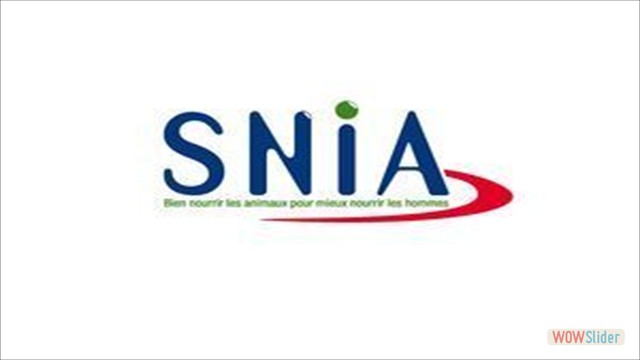 IRP - SNIA (FILEminimizer)