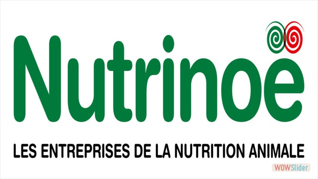 IRP Nutrinoe (FILEminimizer)