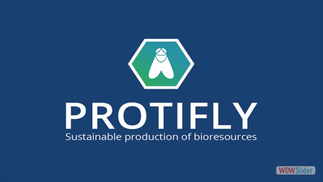 protifly (FILEminimizer)